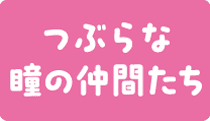 つぶらな瞳の仲間たち