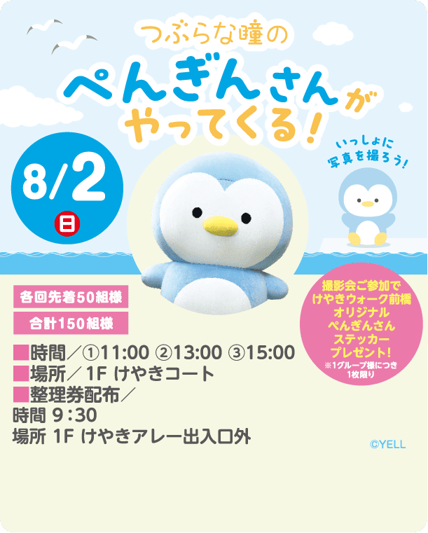 つぶらな瞳のぺんぎんさんがやってくる！