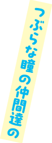 つぶらな瞳の仲間達の