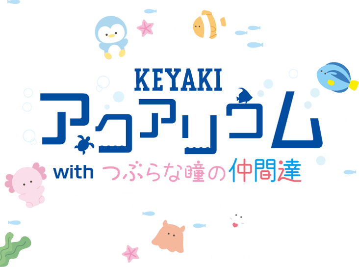 KEYAKI アクアリウム with つぶらな瞳の仲間達