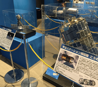 模型展示